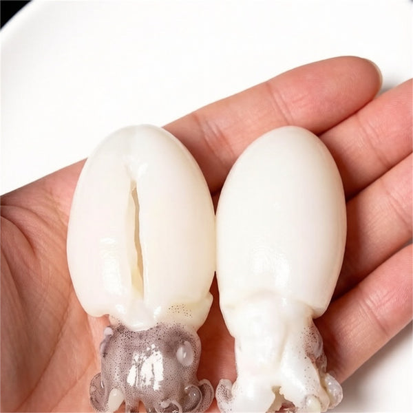 Jumbo Baby Cuttlefish, Pre-Cleaned