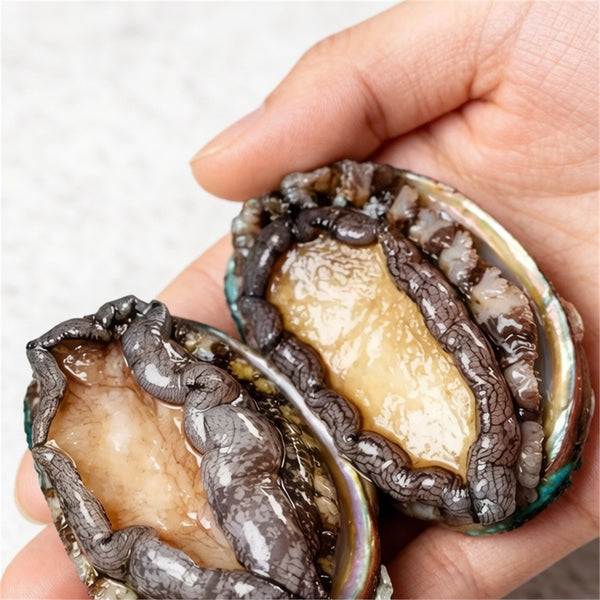 Premium Jumbo Abalone, Flash-Frozen